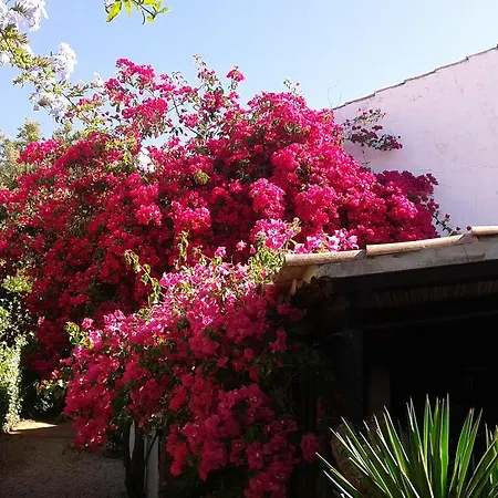Quinta Das Flores البوفيرا