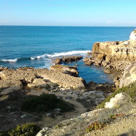 Вилла Quinta Das Flores Албуфейра